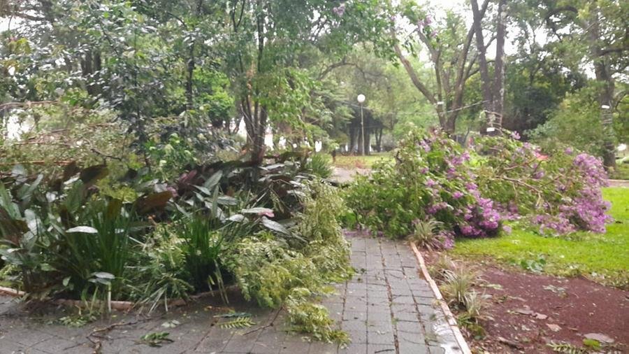 Temporal desta sexta causou estragos no munic&iacute;pio do noroeste ga&uacute;cho