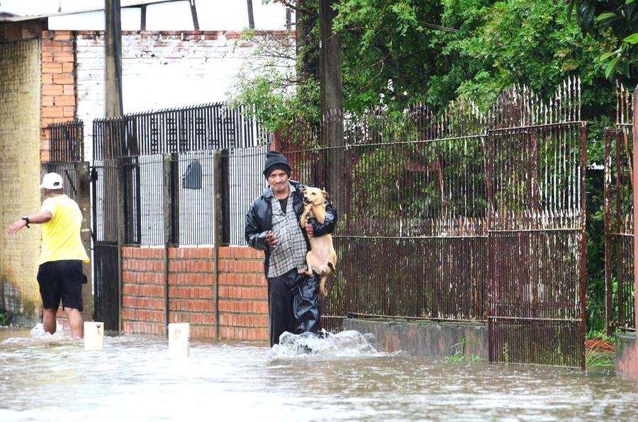 A fiscaliza&ccedil;&atilde;o ser&aacute; feita por meio de den&uacute;ncia e os tutores ter&atilde;o at&eacute; 90 dias para se adaptar &agrave;s novas regras