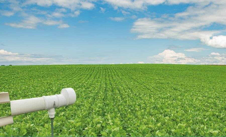 Monitoramento abrange 54 lavouras em 46 munic&iacute;pios de 11 regi&otilde;es ecoclim&aacute;ticas do Estado