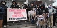 Manifestante protestam contra consumo de carne de cachorro