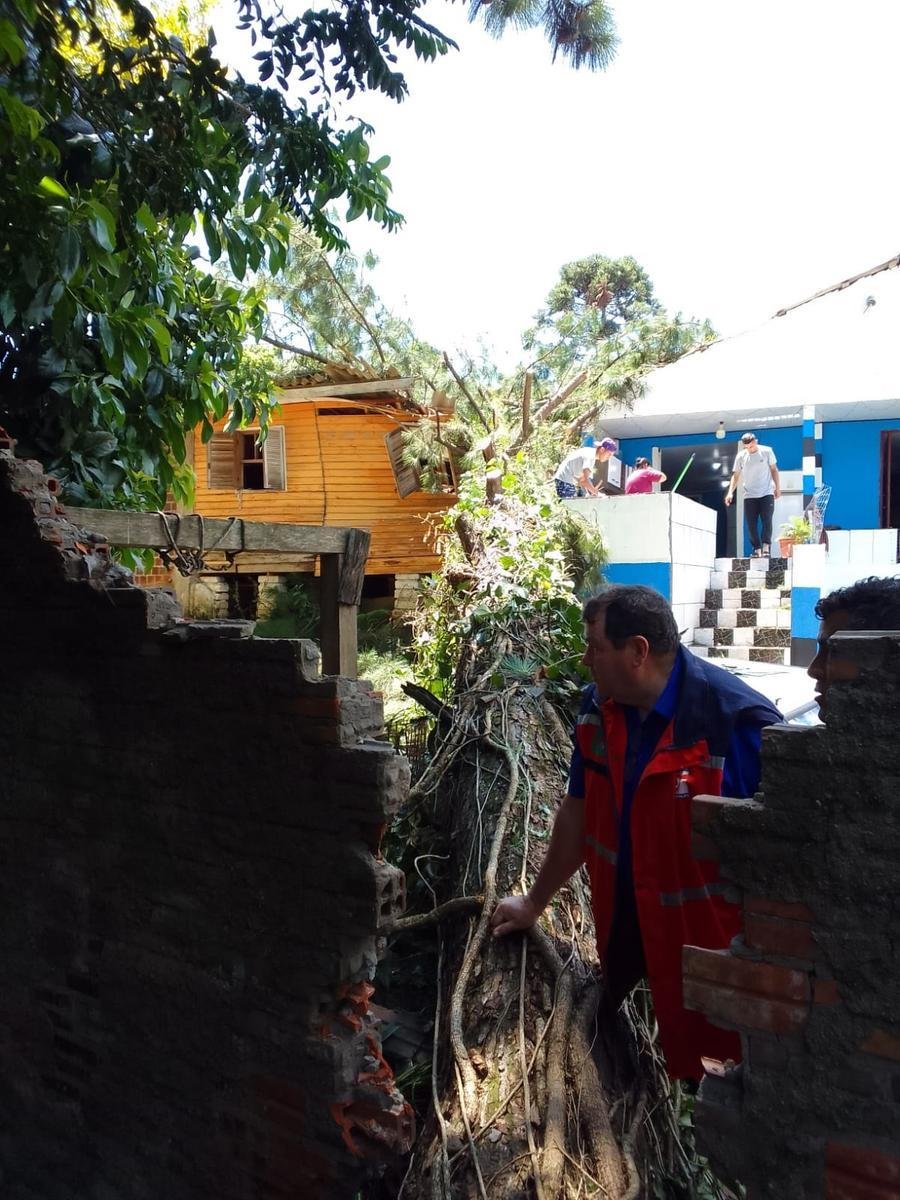 A Defesa Civil contabilizou a queda de pelo menos 10 &aacute;rvores pela cidade