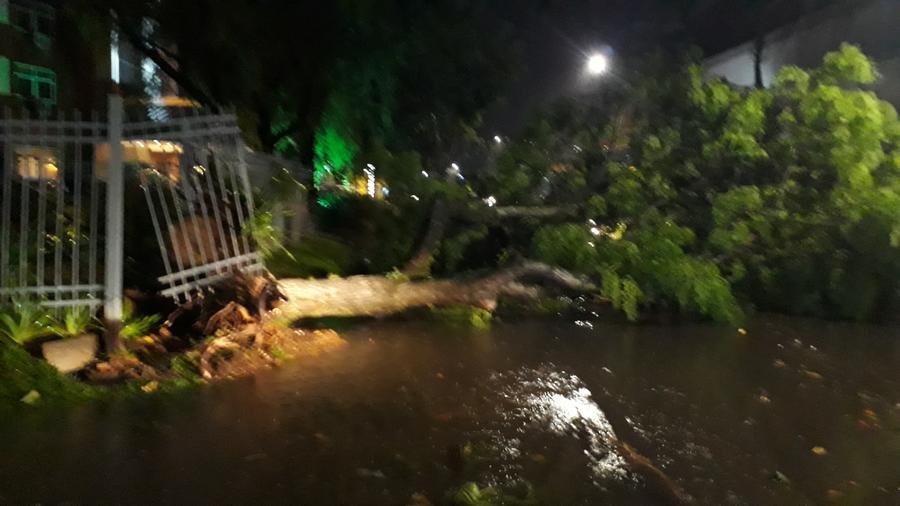 Temporal deixou rastro de estragos em Porto Alegre