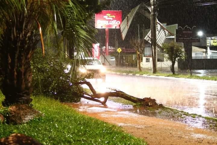 Vias de S&atilde;o Gabriel sofreram com alagamentos e queda de &aacute;rvores