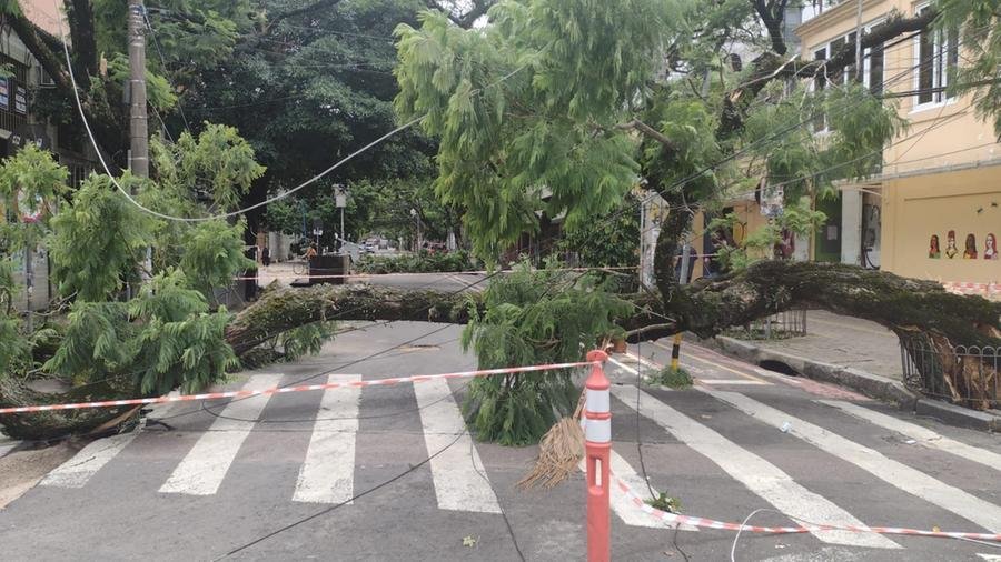 Rede el&eacute;trica &eacute; afetada por temporal
