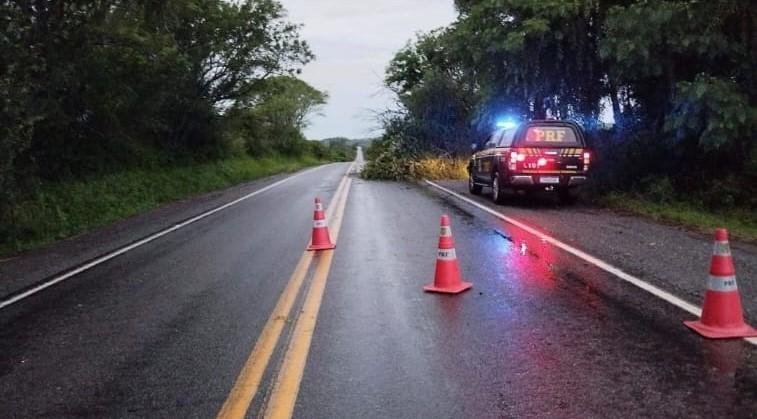 PRF segue atuando para fazer os desbloqueios das rodovias e recomenda aten&ccedil;&atilde;o nos trechos interditados