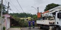 Queda de árvores afetou a rede elétrica de várias cidades no RS