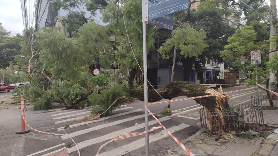 Porto Alegre tem s&eacute;rie de bloqueios por conta de quedas de &aacute;rvores
