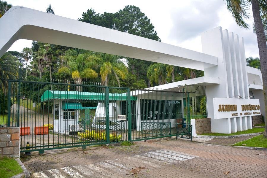 Transtornos causados pelo temporal