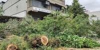 Em Esteio, 79 imóveis ficaram destelhados com a força dos ventos e 14 vias foram obstruídas com a queda de 29 árvores