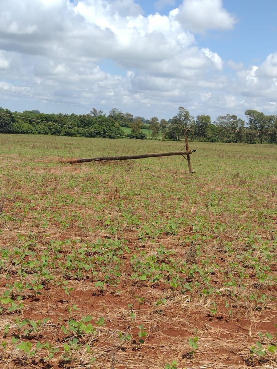 Postes ca&iacute;dos no campo na regi&atilde;o das Miss&otilde;es