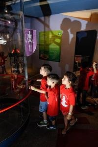 A programação no Museu da PUCRS, em Porto Alegre, está repleta de atividades para crianças, adolescentes e adultos