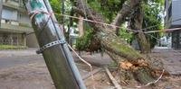Árvore, poste e fios caídos na Rua Tomaz Flores, no bairro Bom Fim