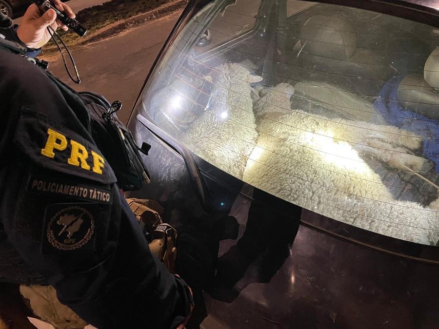 Homens admitiram que invadiram uma propriedade rural na BR 153