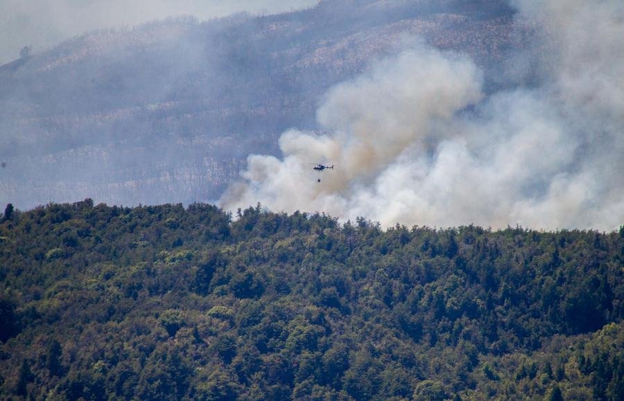 Autoridades denunciam inc&ecirc;ndio intencional em parque na Argentina