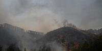 Presidente confirma 46 mortos por incêndios florestais no Chile e teme mais vítimas