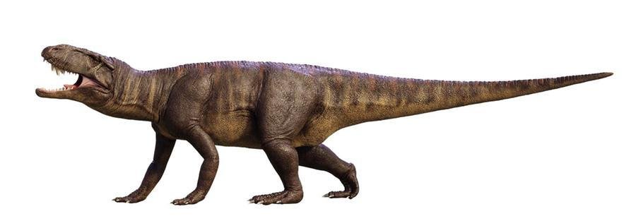 Prestosuchus foi o maior predador que j&aacute; habitou o Rio Grande do Sul
