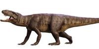 Prestosuchus foi o maior predador que já habitou o Rio Grande do Sul