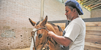 Thiago Ferrão, que lida com cavalos desde pequeno,  é administrador do local 