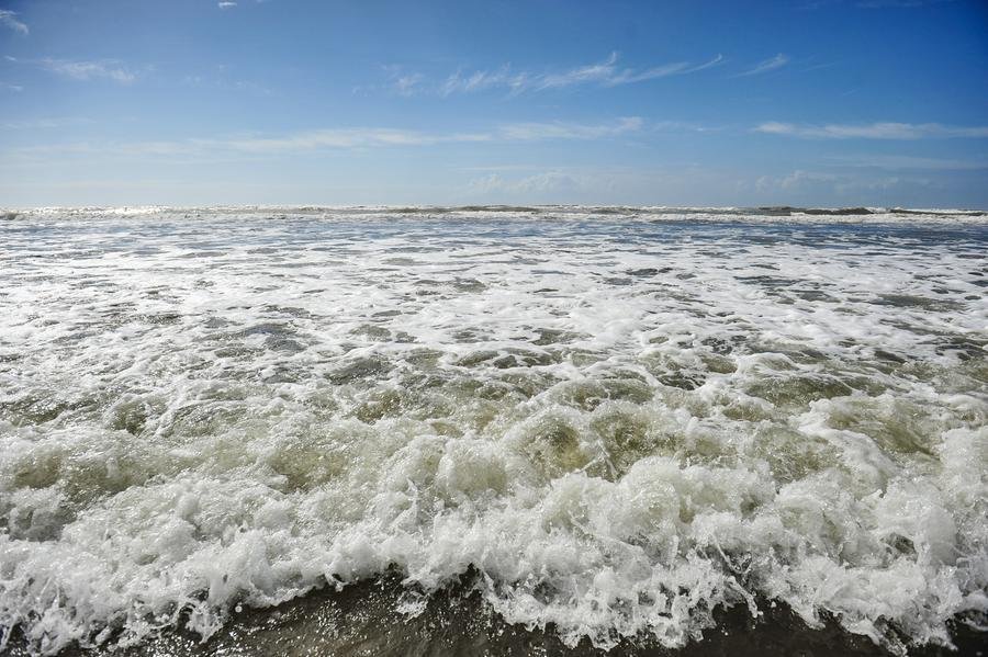 &Aacute;guas do Litoral Norte est&atilde;o pr&oacute;prias para mergulho