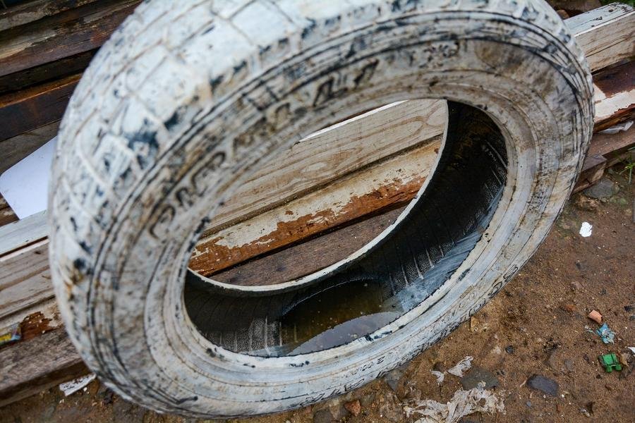 &Aacute;gua parada, seja ela limpa ou suja, o Aedes f&ecirc;mea, vetor tamb&eacute;m da zika e da chikungunya, encontra o lugar prop&iacute;cio para p&ocirc;r seus ovos