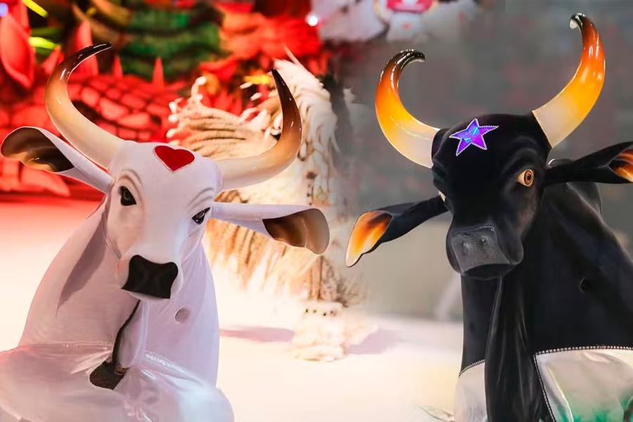 &ldquo;Caprichoso e Garantido: O Duelo da Amaz&ocirc;nia&rdquo; &eacute; a atra&ccedil;&atilde;o de abertura do 32&ordm; Festival de Curitiba
