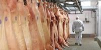 Condição sanitária tem beneficiado exportações de carne suína em Santa Catarina