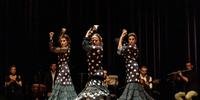 O show de Flamenco Inaugura as Celebrações dos 25 Anos do grupo Del Puerto