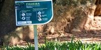 Inauguração das placas de identificação das árvores do Parque Germânia, escritas em alemão e português