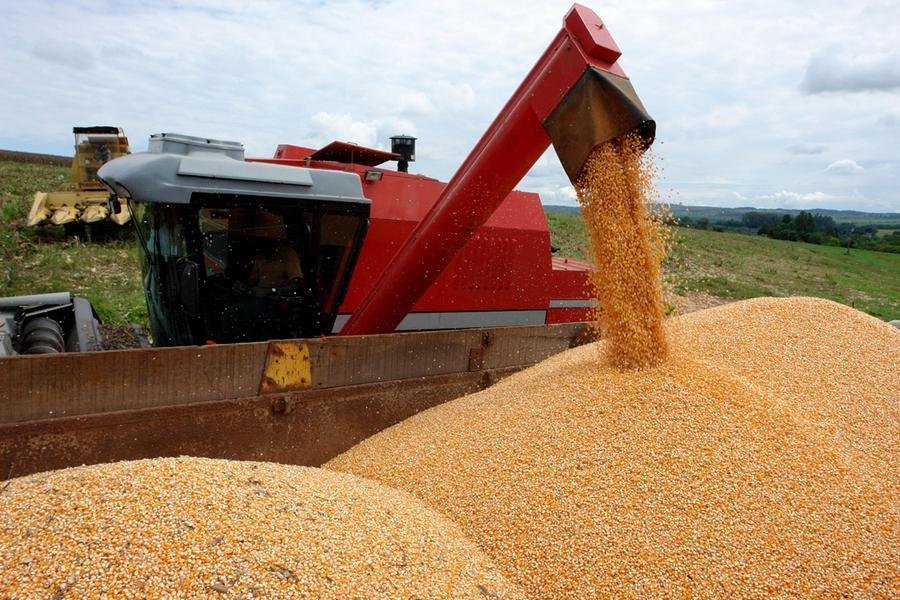 Para o milho, &eacute; esperada a produ&ccedil;&atilde;o de 5,24 milh&otilde;es de toneladas, aumento de 40,3%