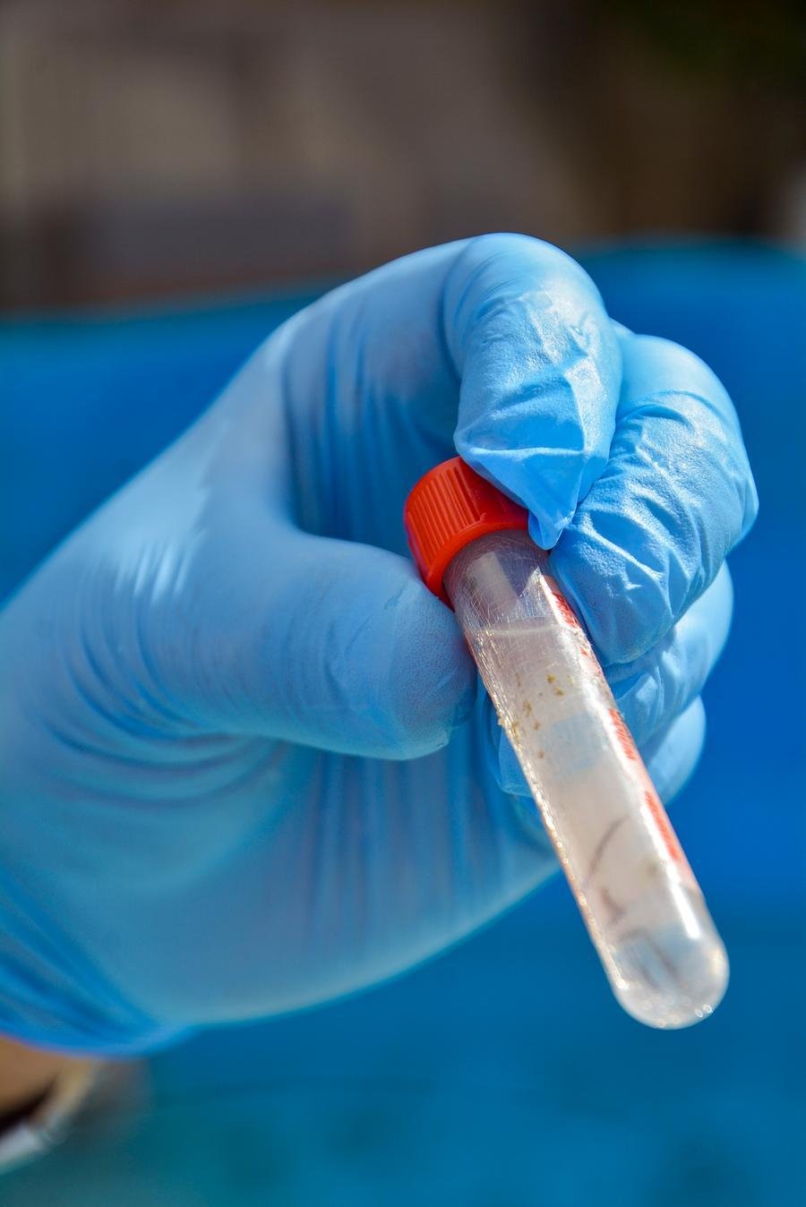 Aumento no n&uacute;mero de casos de dengue.