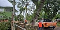 Além de casas danificadas com a força dos ventos, teve queda de árvores em vários municípios