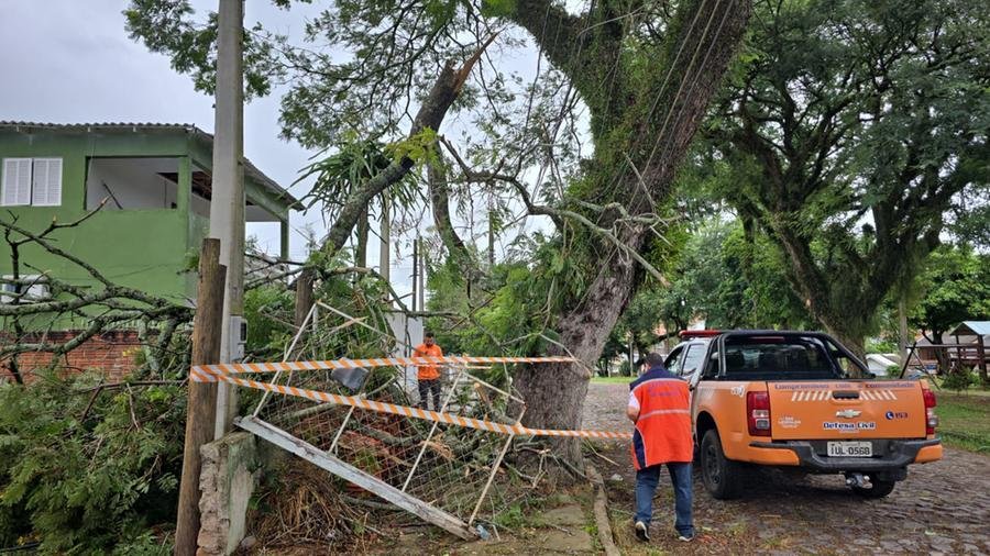 Al&eacute;m de casas danificadas com a for&ccedil;a dos ventos, teve queda de &aacute;rvores em v&aacute;rios munic&iacute;pios