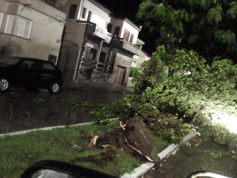 Forte vento que atingiu Bag&eacute; arrancou &aacute;rvores e deixou a cidade sem luz