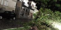 Forte vento que atingiu Bagé arrancou árvores e deixou a cidade sem luz