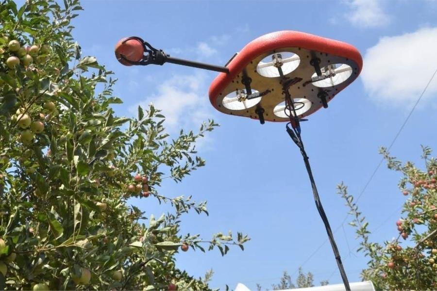 Drones utilizados na colheita de ma&ccedil;&atilde;