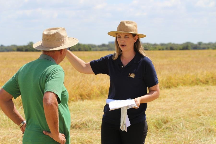 Mara Grohs: rota&ccedil;&atilde;o de arroz e soja &eacute; pr&aacute;tica efetiva para a redu&ccedil;&atilde;o de GEEs
