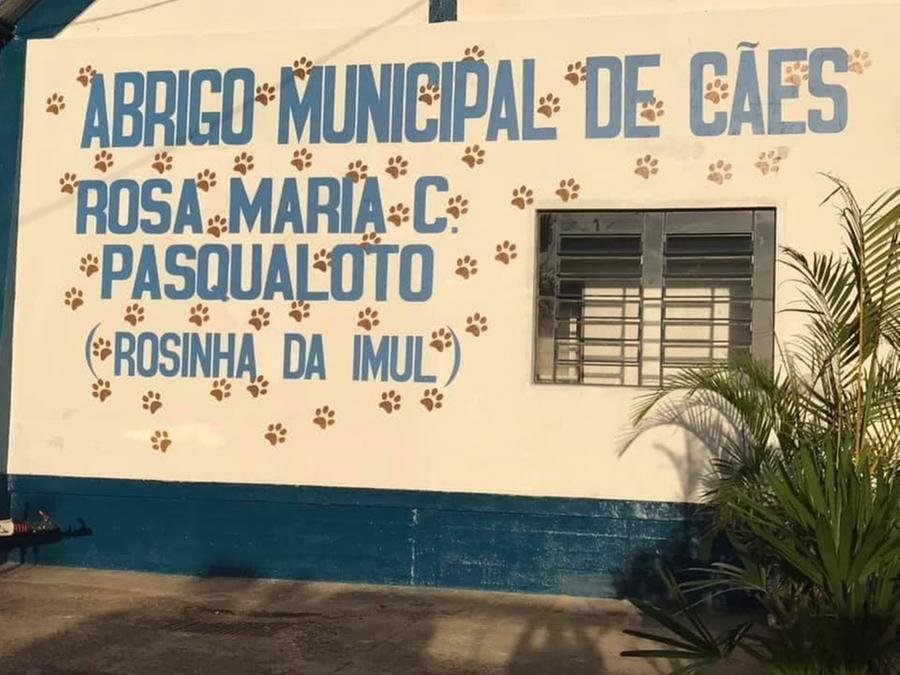 Prefeitura de Uruguaiana busca solu&ccedil;&otilde;es para solucionar quest&otilde;es que envolvam c&atilde;es de rua e maltratados