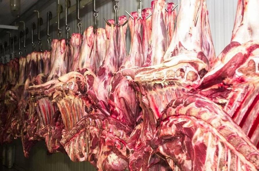 Nos tr&ecirc;s primeiros meses de 2024, faturamento com exporta&ccedil;&atilde;o de carne cresceu 18,5% em compara&ccedil;&atilde;o com o mesmo per&iacute;odo no ano passado