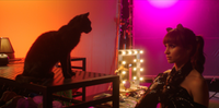 Cat Call envolve romance e um gato que sonha em ser um astro do rap