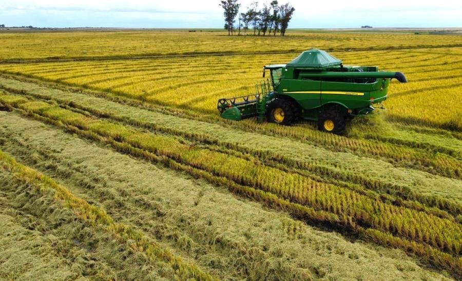Cerim&ocirc;nia de abertura da colheita do arroz no Estado est&aacute; prevista para ocorrer no dia 20 de fevereiro, em Cap&atilde;o do Le&atilde;o, na Regi&atilde;o Sul