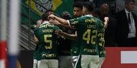 Palmeiras tem um elenco forte e competitivo