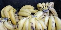 Banana, a fruta mais consumida no Brasil, acumula alta de 43,48% na cotação da Ceasa/RS, na variedade caturra