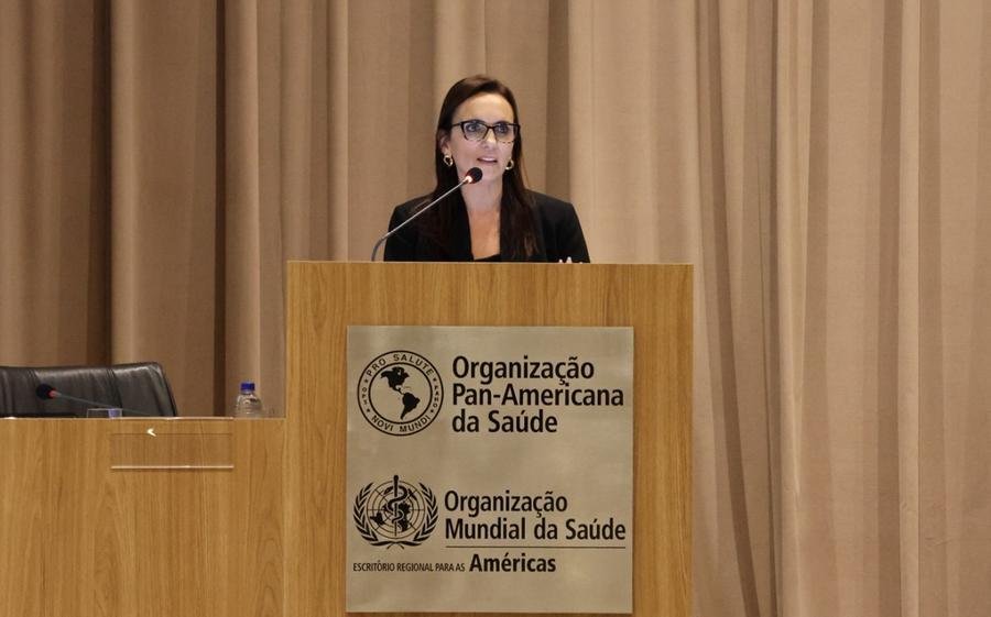 Relat&oacute;rio foi apresentado pela diretora do Departamento de Gest&atilde;o e Aten&ccedil;&atilde;o Especializada, da Secretaria da Sa&uacute;de (SES), Lisiane Fagundes