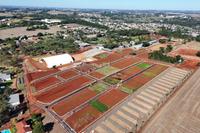Agronegócio ocupará 60 mil metros quadrados do parque de exposições
