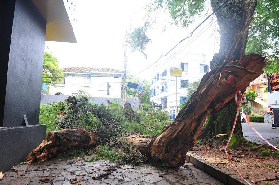 Galho caiu na esquina das ruas Quintino Bocai&uacute;va com Tenente Coronel Fabricio Pilar, bairro Mont&rsquo;Serrat, na Capital