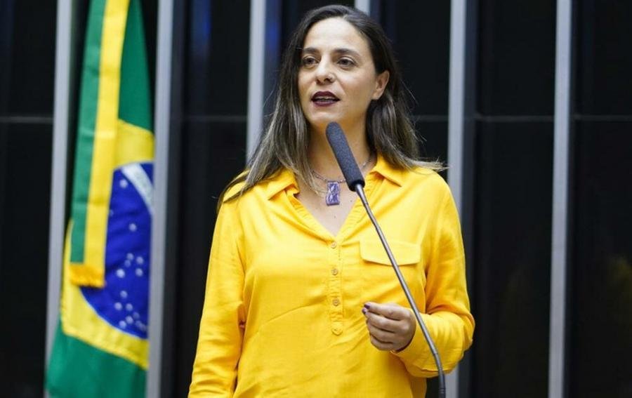 Texto proposto pela ga&uacute;cha precisa de 171 assinaturas para come&ccedil;ar a tramitar