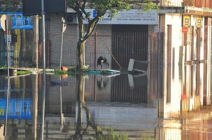 Alagamentos na zona Norte de Porto Alegre