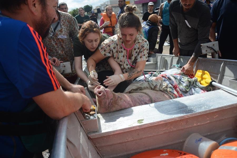 Socorro ocorreu no bairro Sarandi nesta quinta-feira