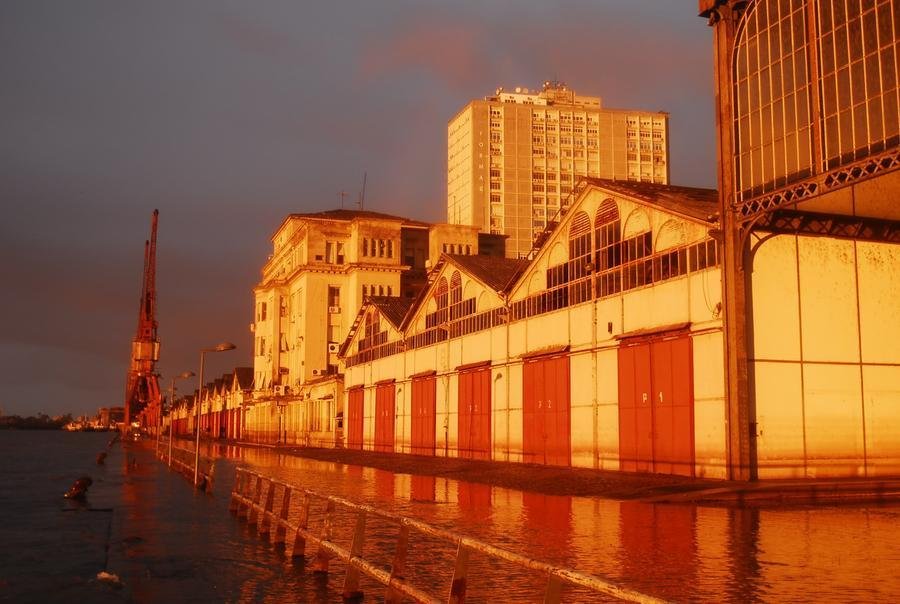 Gua&iacute;ba se mant&eacute;m elevado