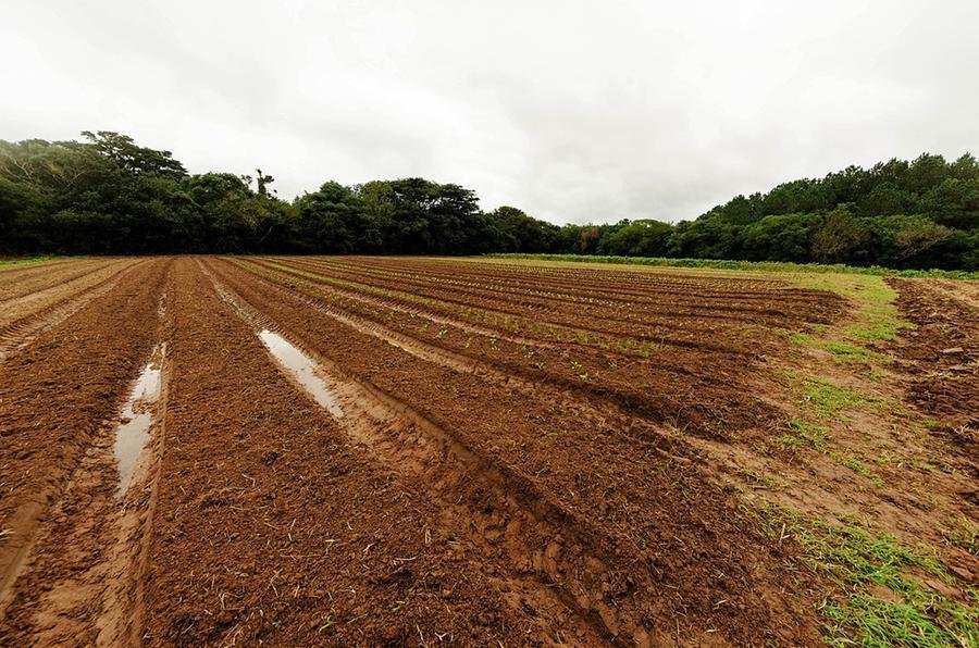 Fazenda teve planta&ccedil;&otilde;es varridas pela &aacute;gua